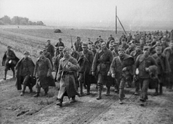 Polscy żołnierze wzięci do niewoli radzieckiej, sygn. IPN BU 188/300-342-001;