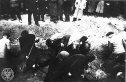 Zdjęcie z ekshumacji z 1945 r. (1)