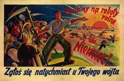 Niemiecki plakat propagandowy: "Chodźmy na roboty rolne do Niemiec!" - "Zgłoś się natychmiast u Twojego wójta" (sygn. IPN GK 141/90, t.1)