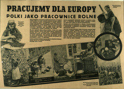 "Pracujemy dla Europy. Polki jako pracownice rolne" - niemiecki afisz propagandowy zachęcający do zgłaszania się na roboty do Rzeszy (sygn. IPN GK 141/88, t.2)