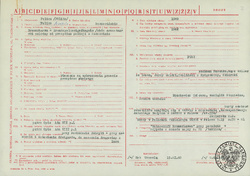 Ankieta Głównej Komisji Badania Zbrodni Hitlerowskich w Polsce - sygn. IPN BU 2448/925
