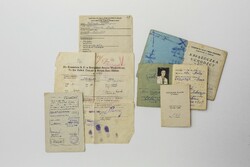 Dokumenty uchodźców, którzy przebywali w Indiach (sygn. IPN BU 4042)