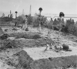 Groby polskich żołnierzy na Oksywiu po zakończeniu walk – sygn. GK-5-1-83-1